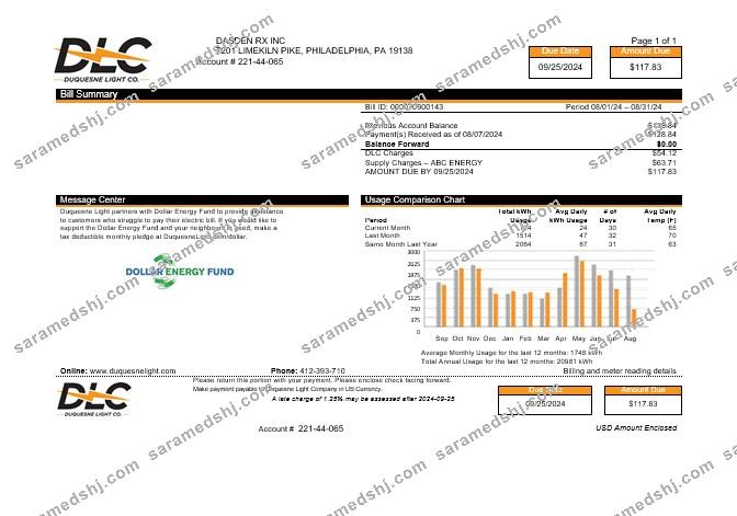 USA DLC business utility bill Word and PDF template, version 2